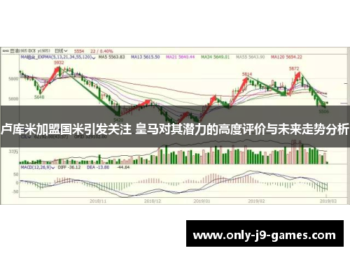 卢库米加盟国米引发关注 皇马对其潜力的高度评价与未来走势分析